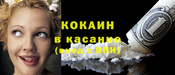 мдпв Галич