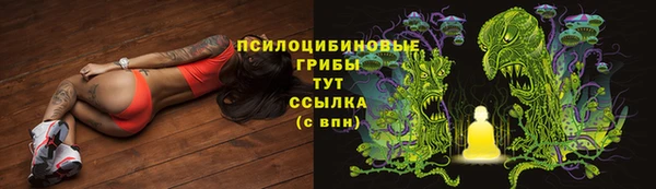 сатива Остров