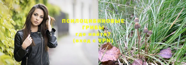 MESCALINE Осинники