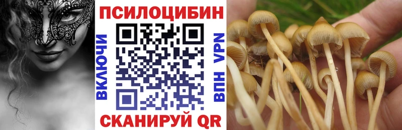 как найти закладки  Стрежевой  Псилоцибиновые грибы Magic Shrooms 