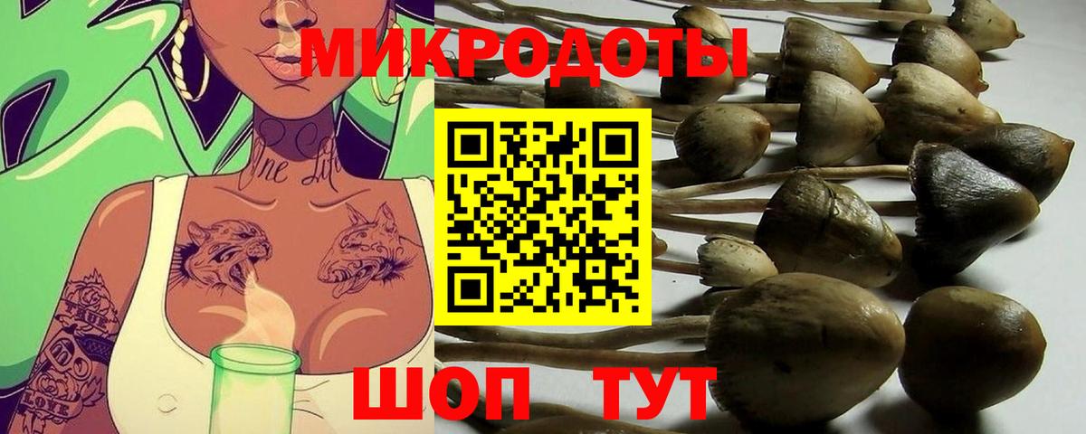 Псилоцибиновые грибы прущие грибы  Галлюциногенные грибы ЛСД  Стрежевой  Вход с VPN 