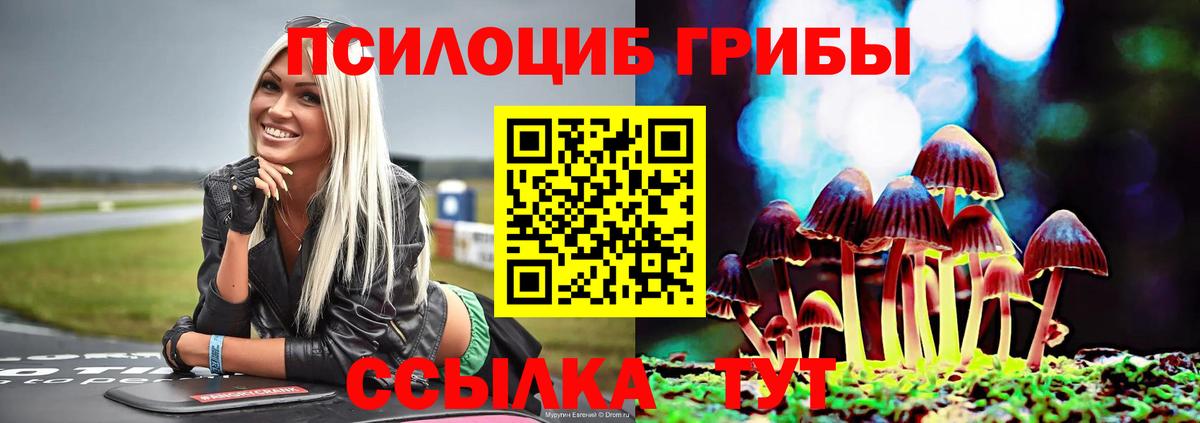 Псилоцибиновые грибы прущие грибы Стрежевой